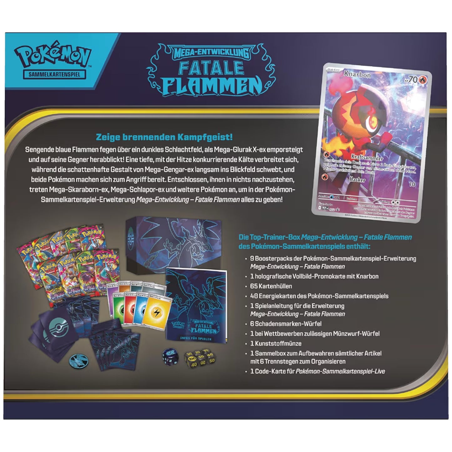 Fatale Flammen Top Trainer Box Inhalt